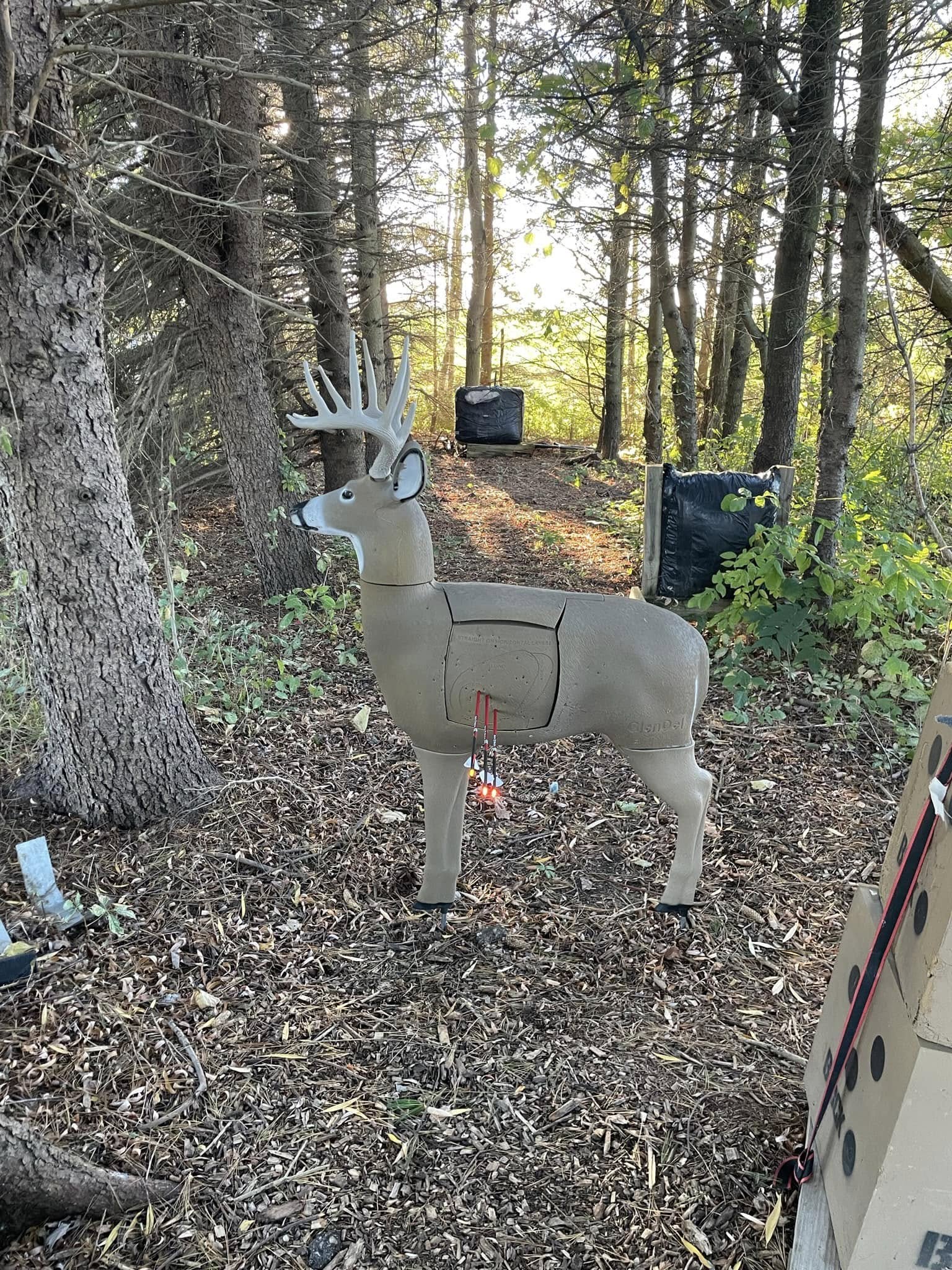 3D archery deer target in the woods