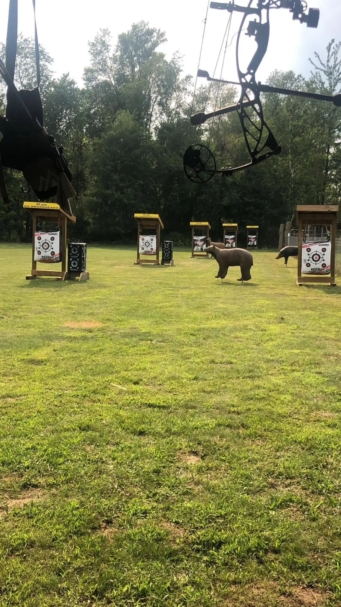 3D archery course with animal targets