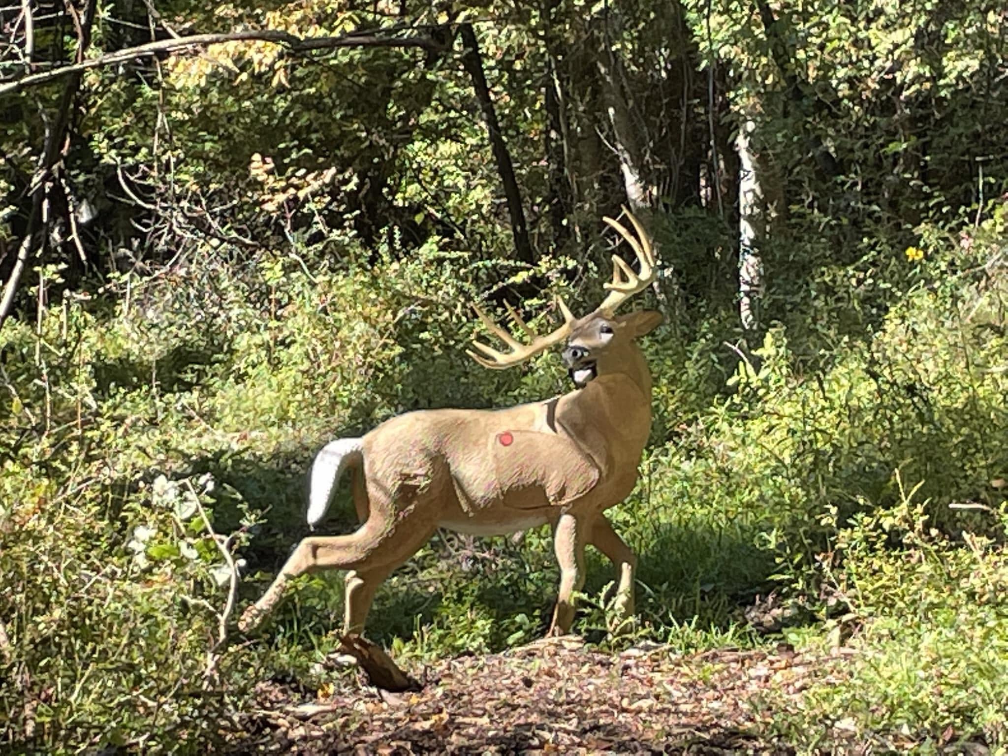 3D archery deer target, running pose